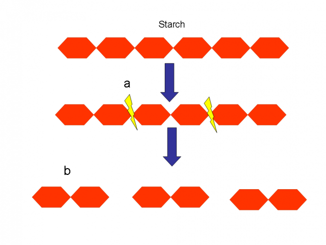 Proteins And Enzymes Worksheet From Edplace